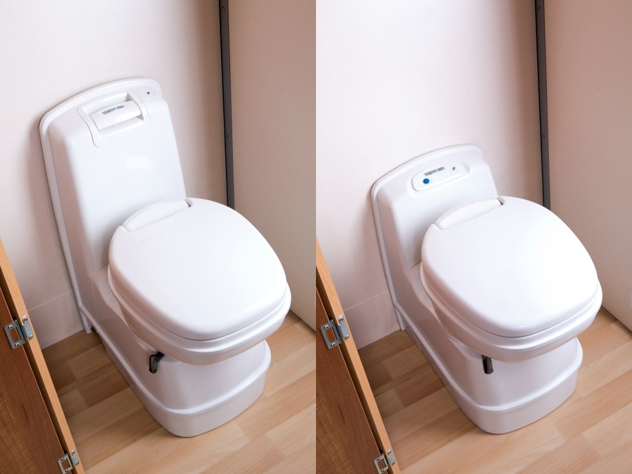 Manual or Electric Flush Toilet Image